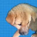 군산시-00207 이미지