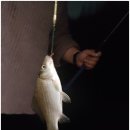 2박3일낚시터 이미지