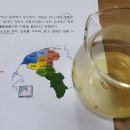 (260314) 섬의 차(茶) &amp; 대륙의 차(茶) : 노봉오룡(蘆峰烏龍) vs. 이무정산(易武正山) - 중국 차산지 빛여행일을 기념하며 이미지