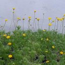 아지랑이 이미지