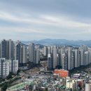 금빛공인중개사사무소 이미지