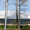 울산공항 이미지