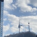 스카이캣명동2호점 | 스카이캣카페 명동 2호점 | 명동 고양이카페 | 명동데이트 추천