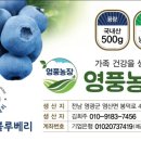영풍농장