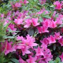 전곡초교 이미지