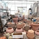 한빛 꽃농원 이미지