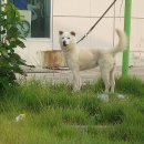 옥돌장 Daum카페
