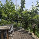 투썸플레이스 평택석정점 이미지