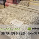 이브자리온천