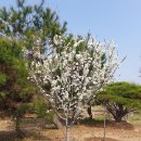 흥해시장 이미지