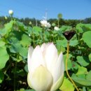 이색체험마을 이미지