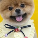 몽개구름 이미지