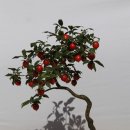 넓은마당 이미지