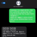 싱싱청과 | [W1]남자친구 부모님 첫인사 선물 싱싱프룻 과일바구니 내돈내산 후기(feat.할인팁)
