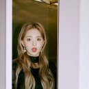 나인컨셉 이미지