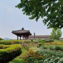 성주관광주유소 이미지