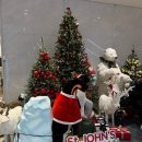 세븐일레븐 강릉제일점 | [강릉] 평일 24시간 스테이, 골져스 파셜오셜, 파인타워 인피니티풀 &#34;세인트존스호텔&#34;