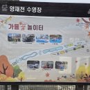 천동낚시 | 양재천 가을꿈놀이터 개장, 아이랑 다녀온 후기