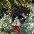 제이(J)무인스토어 | [서울/종로] 2025 제이닷트리 스누피 크리스마스 팝업스토어 후기