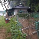 팔봉향산길 이미지