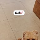우리집첫째 양산점 네이버블로그