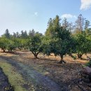 서귀포시 노인복지회관 이미지