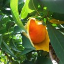 혁이네농장 이미지