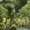 호텔리쟈드 이미지