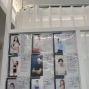 대학로 혜화 필라테스 필샵 필라테스 그룹 수업 후기