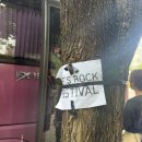 송대관, 태진아 효 콘서트 | 9/6-9/14 주간 일기 렛츠락페스티벌/ 소풍족 오늘도 잘 놀다 갑니다 북토크 / 올드문래 / 터치드 티셔츠