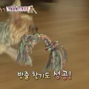 또또농장 이미지