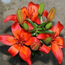 종순농장 이미지