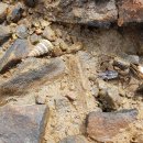 레이크앤씨빌리지 이미지