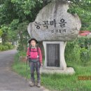 도장골천 이미지