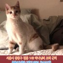 서울응암초등학교 이미지