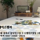 위드스텔라