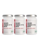 리얼발효