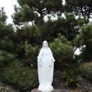 성지세탁 이미지