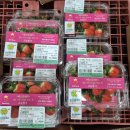 군산먹거리통합지원센터 군산로컬푸드복합센터 이미지