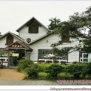 기안말산삼삼계탕 이미지