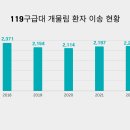 목줄 안 한 개, 신고하려면 주소까지 알아야 이미지