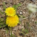 동부여성문화회관 이미지