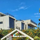 헬로반디 이미지