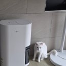 뜰23 | 삼성 18L 인버터 제습기 쓰다가 결국 추가 구매한 LG 휘센 제습기 23L 내돈내산 후기