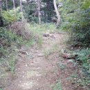 녹문농장 Daum카페