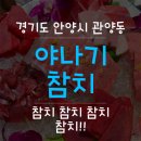 야나기참치 이미지