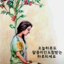 샬롬 Daum카페