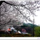 고남저수지 이미지