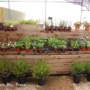 원당농장 이미지