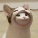 킹스시 이미지